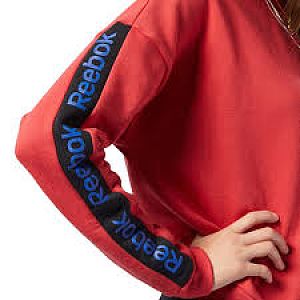 Reebok Linear Logo Crew sweatshirt
