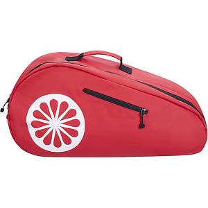 The-Indian-Maharadja-Padeltas-Rood