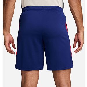 Nike Paris Saint Germain short