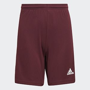 Adidas-squad-short
