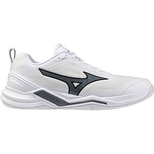 Mizuno Wave Momentum Pro